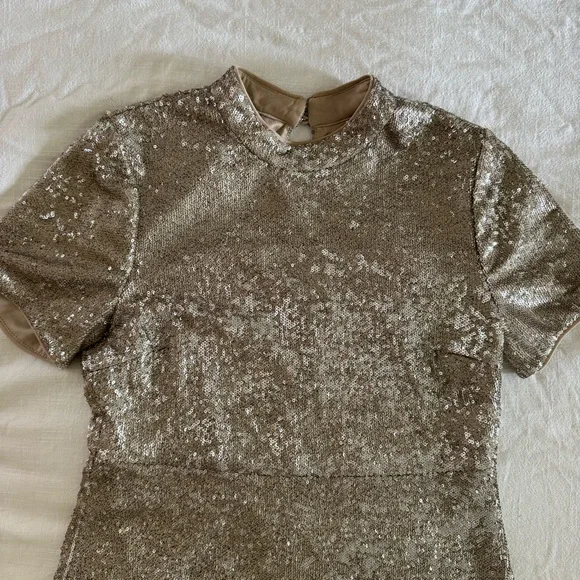 Forever 21 Exclusive Sequin Mini Dress – Silver & Champagne, Size Medium - Picture 4 of 11